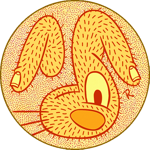 Orange Hairy Bunny, abstract cartoon bunny with hairy fingers for ears