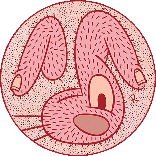Red Hairy Bunny, abstract cartoon bunny with hairy fingers for ears